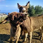 Alojamento de Acomodação e Pequeno-almoço Al Numero Zero