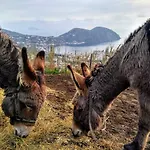 Al Numero Zero Alojamento de Acomodação e Pequeno-almoço