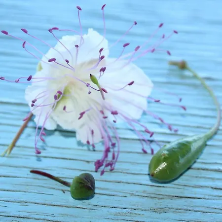 Al Numero Zero Lípara