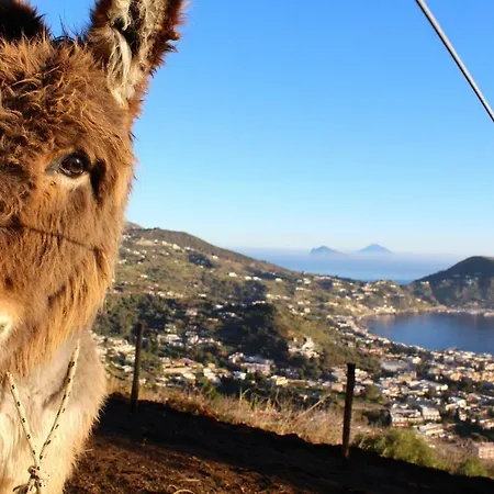Alojamento de Acomodação e Pequeno-almoço Al Numero Zero 4*