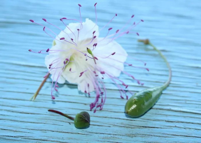 Al Numero Zero Lipari (Isola Lipari)