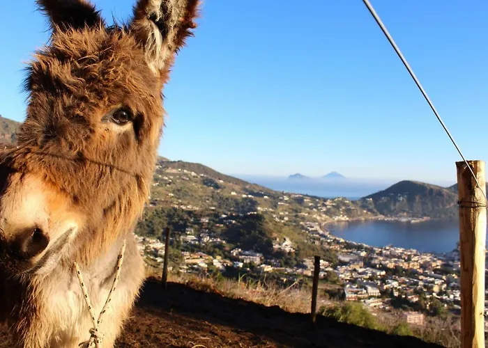 Oda ve Kahvaltı Al Numero Zero 4*